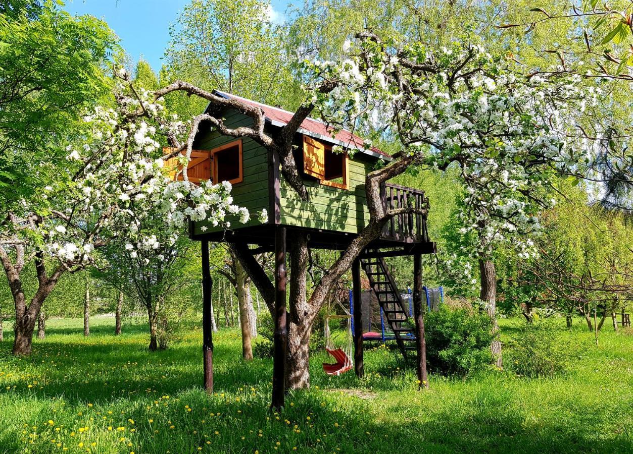 Reglówka Wola Krakowianska Exterior foto
